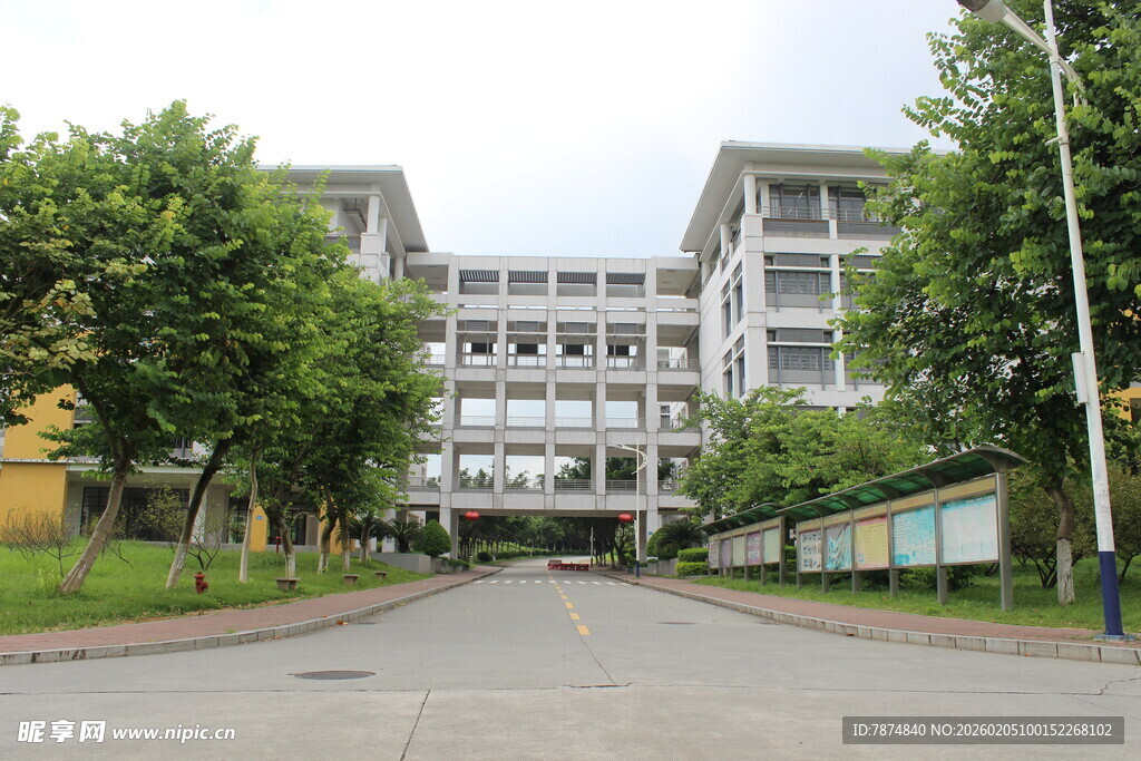 广医校园教学楼前的宁静道路