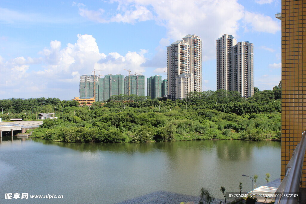 广医河畔高楼与葱郁景致