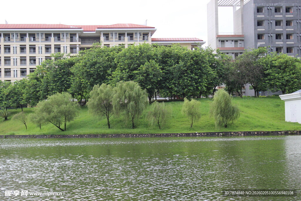广医湖畔绿树环绕的校园景致