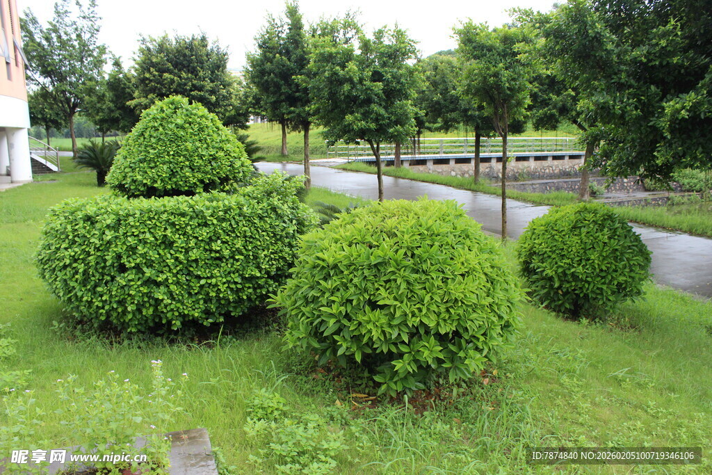 广医修剪整齐的园林绿植景观