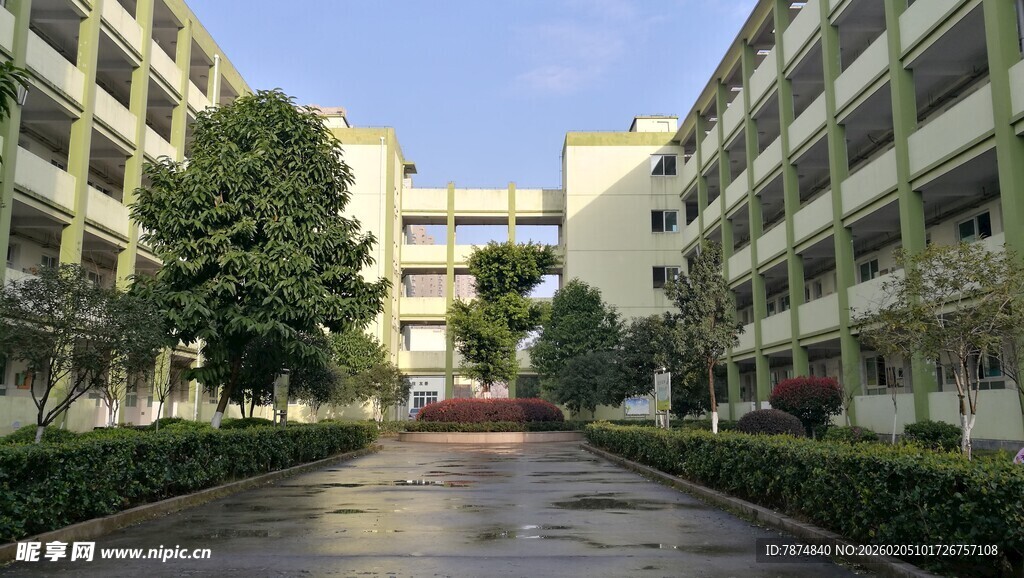 校园内景 宁静的教学楼道路