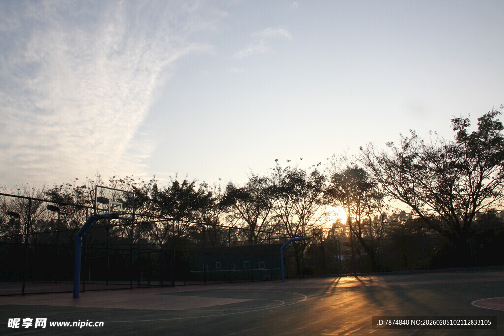 夕阳下的树林与开阔道路