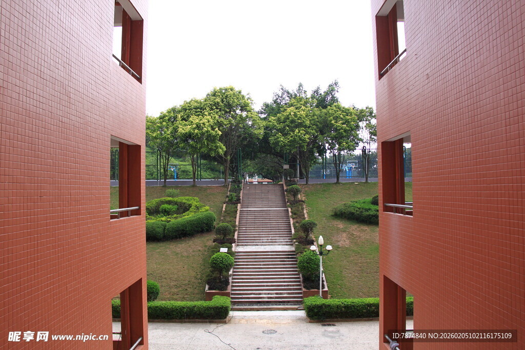 透过红门望庭院绿植