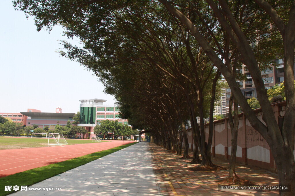 校园林荫跑道风景
