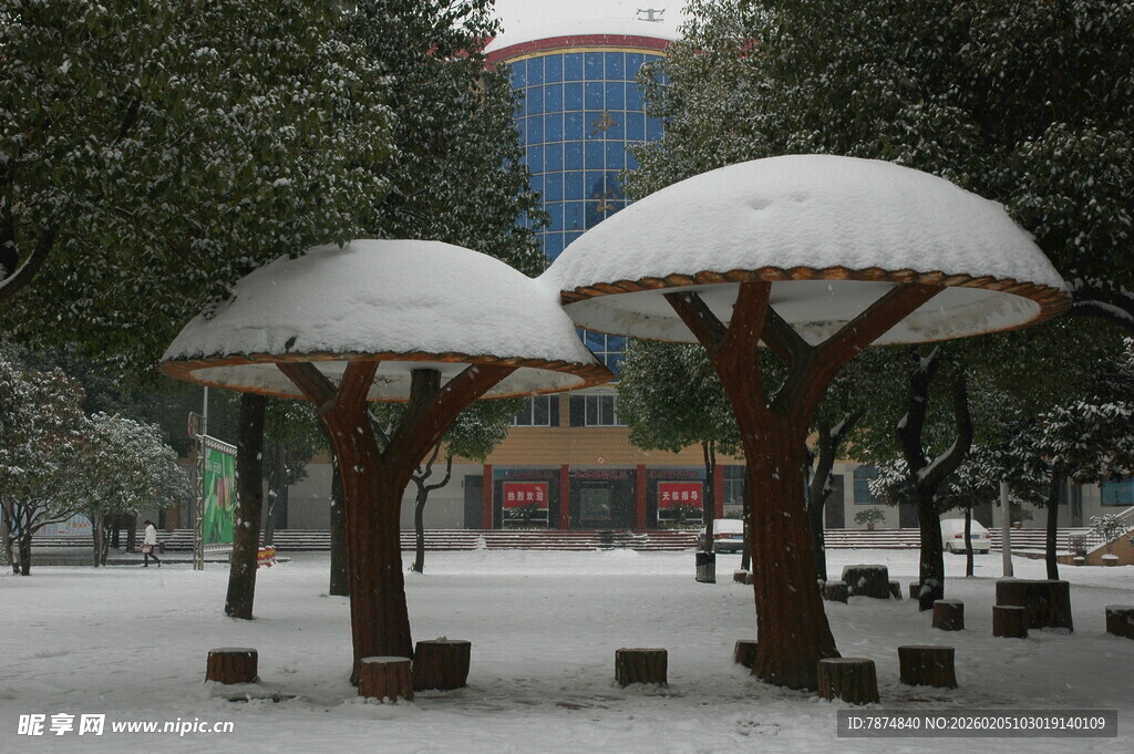 雪覆亭台 冬日静谧景致
