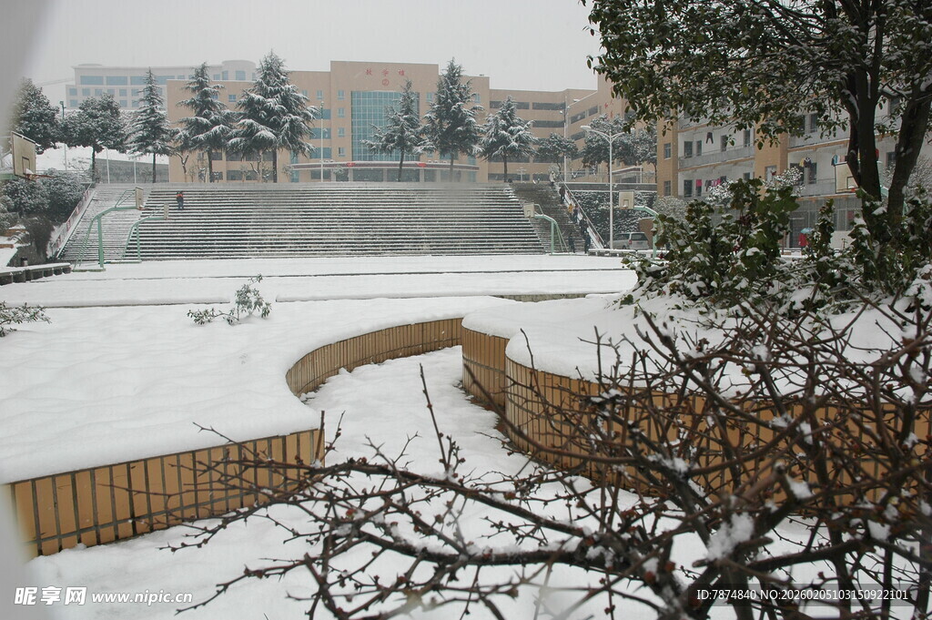 冬日雪景中的建筑与树木