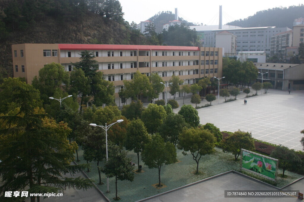 校园风景 绿树环绕的建筑