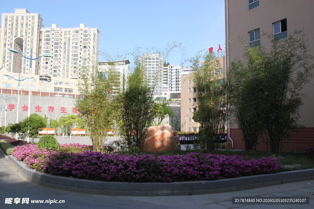 小区内的美丽花卉景观