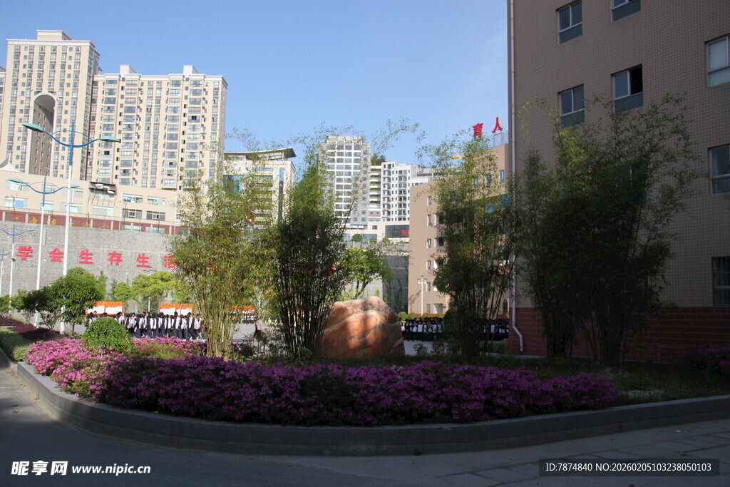 小区内的美丽景观