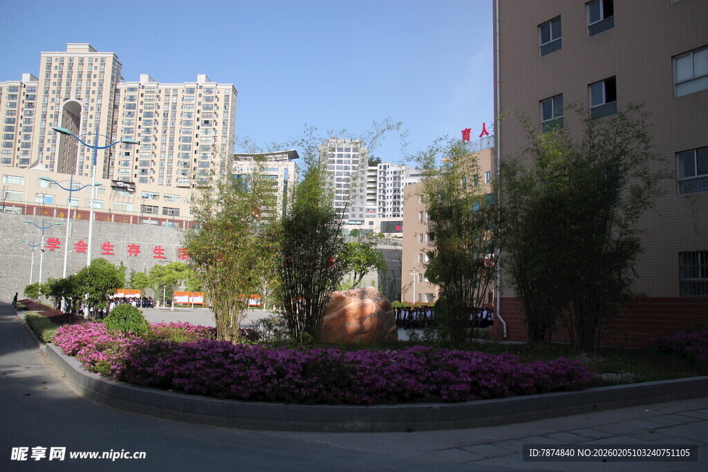 小区内的美丽花卉景观