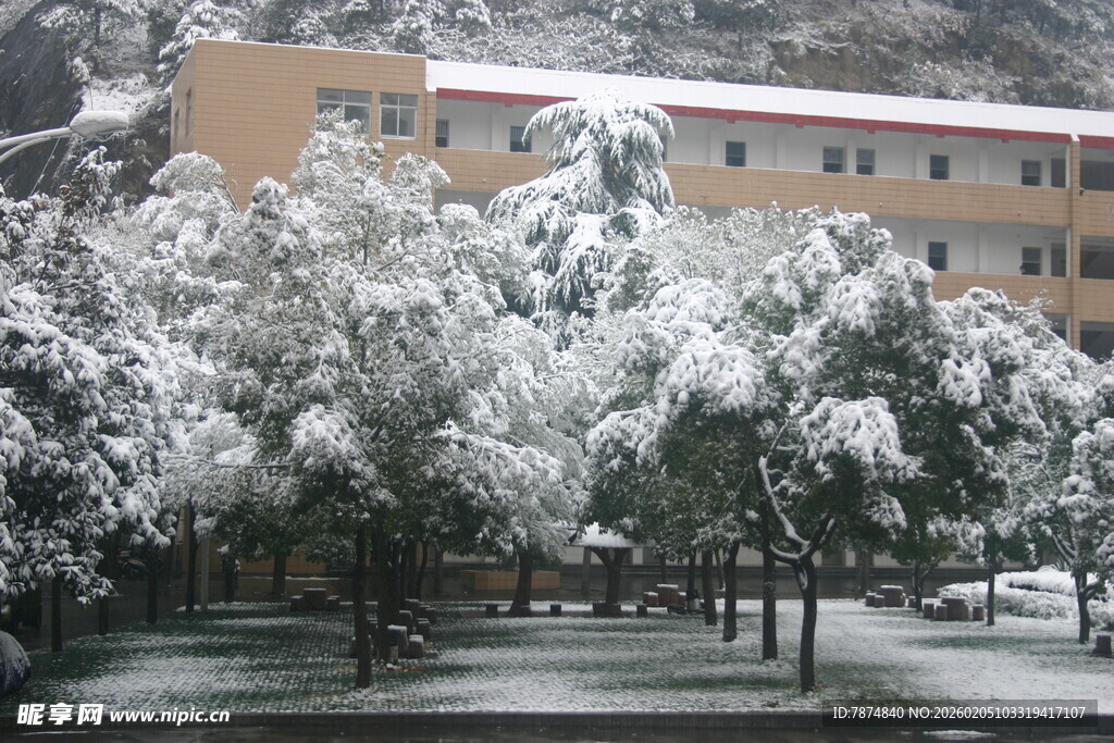 雪覆校园景 树木映楼影