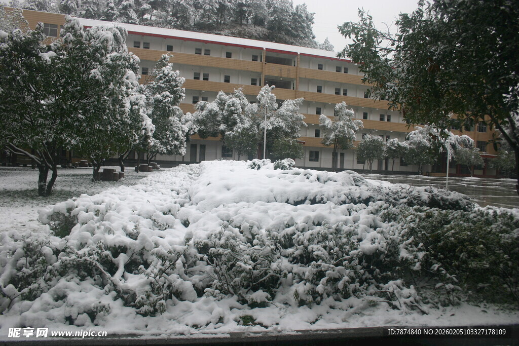 雪覆绿植旁的多层建筑