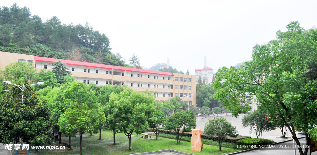 校园绿树环绕的建筑景观