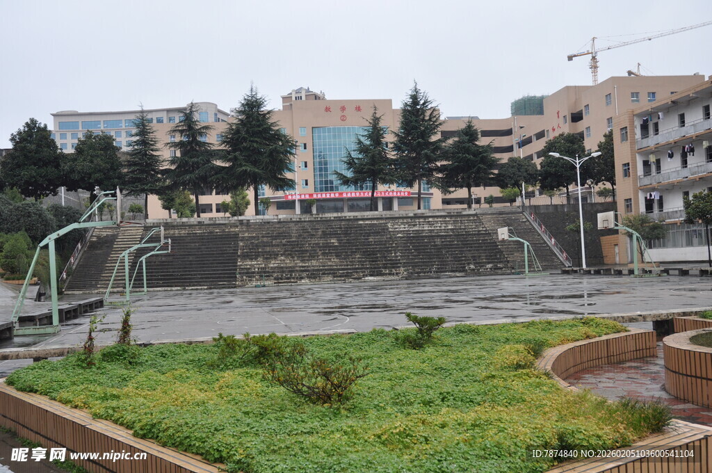 城市中的绿地与建筑景观