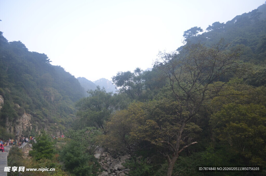 泰山山间绿意盎然的秀丽景致