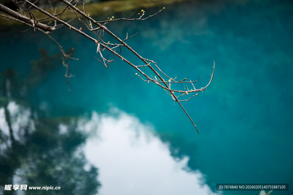 荔波清澈蓝湖与枝头倒影