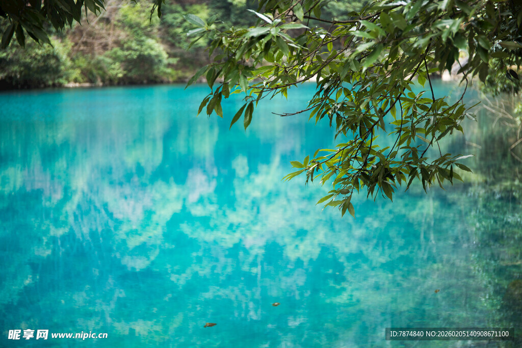 荔波梦幻蓝湖 绿意相伴
