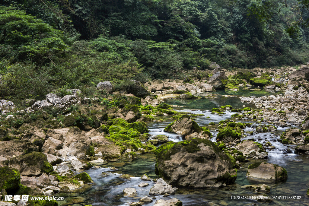 荔波山间溪流 石上绿意盎然