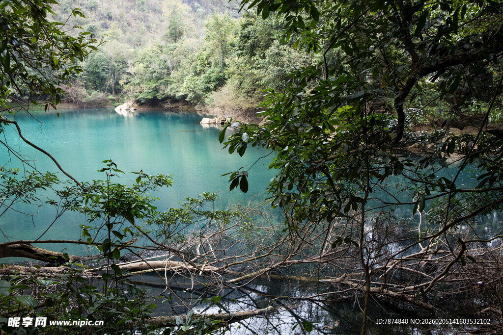 荔波山林间的碧绿幽潭