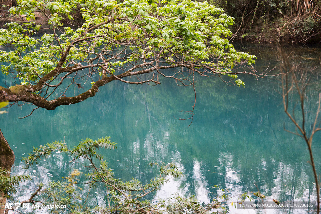 荔波山间幽潭映翠树