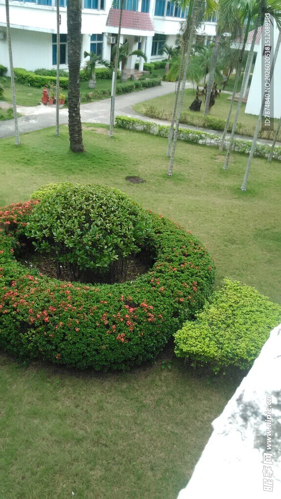 三亚精致园林式绿植景观