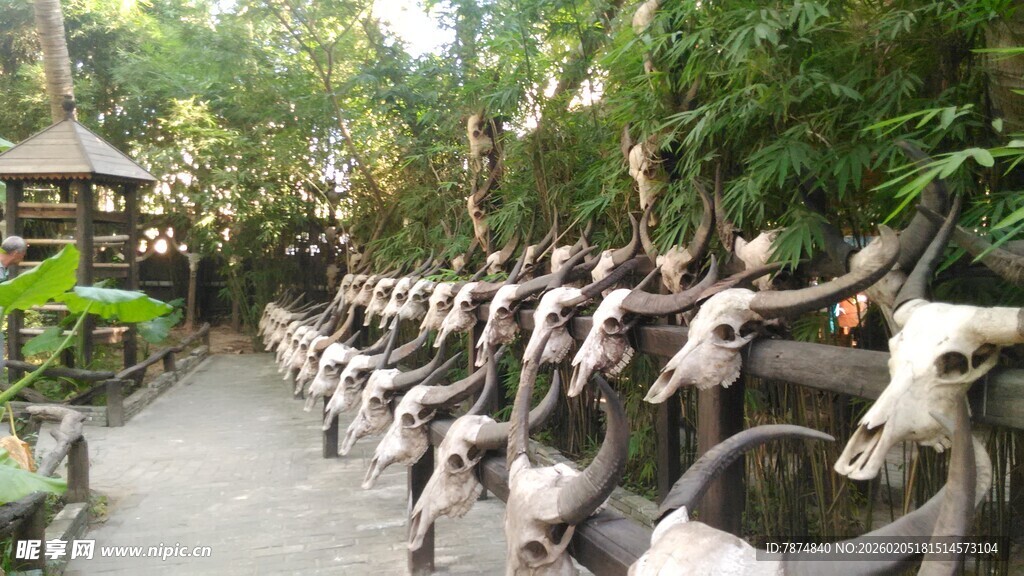 三亚户外排列的牛头雕塑