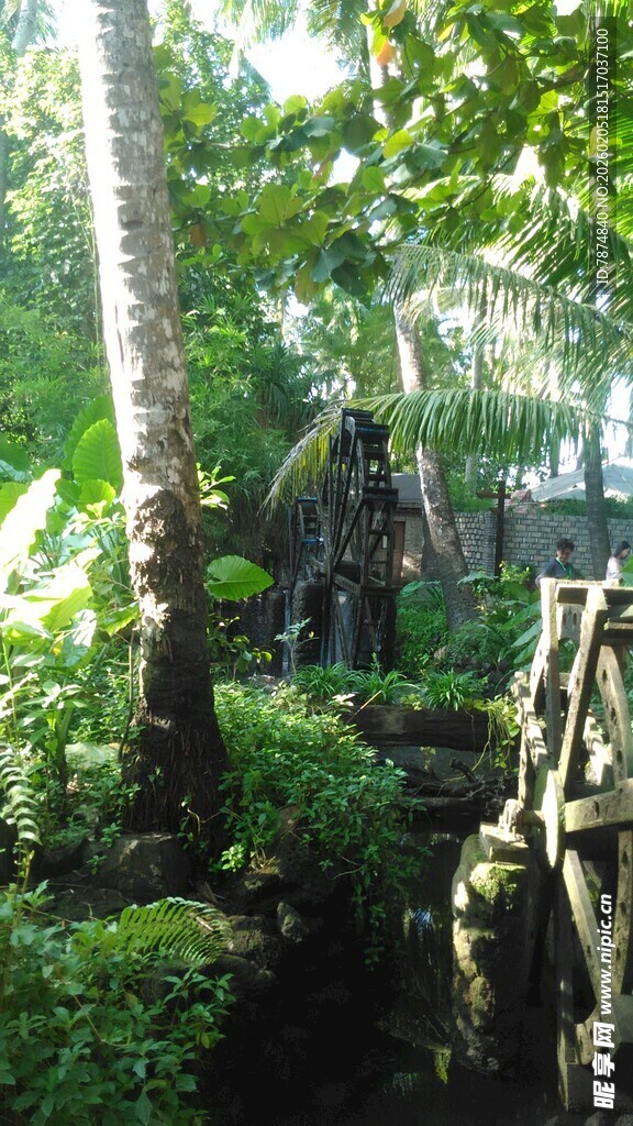 三亚林间石桥 自然静谧景致