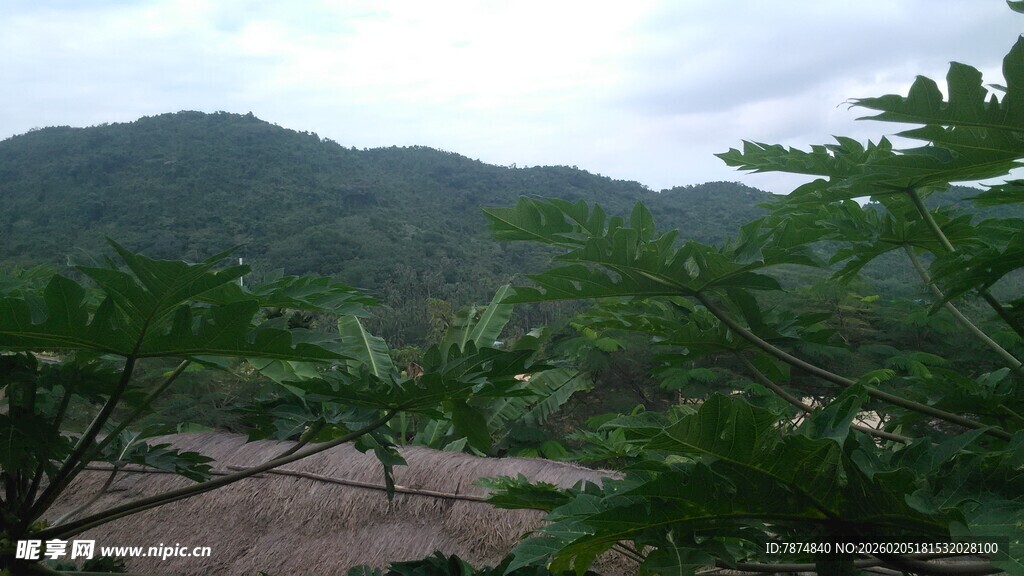 三亚山间绿意盎然的自然景致