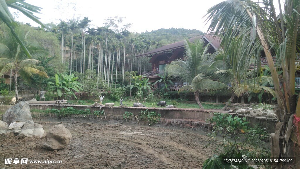 三亚热带风情庭院景观