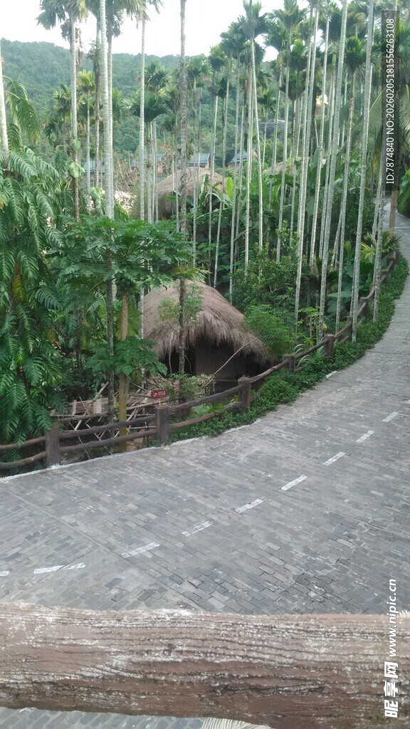 三亚蜿蜒林间路 自然景致美