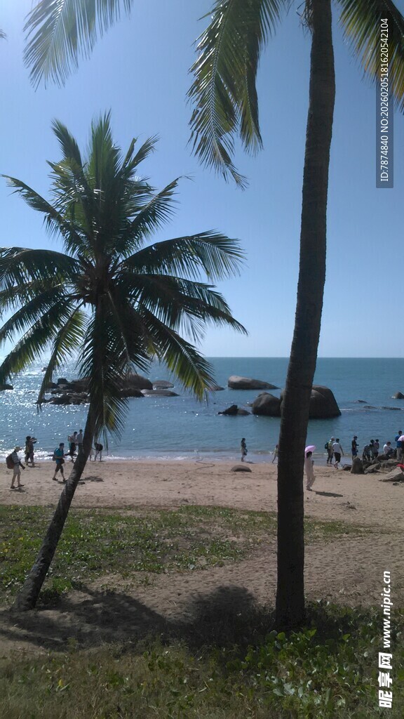 三亚美丽海滩与椰树风景
