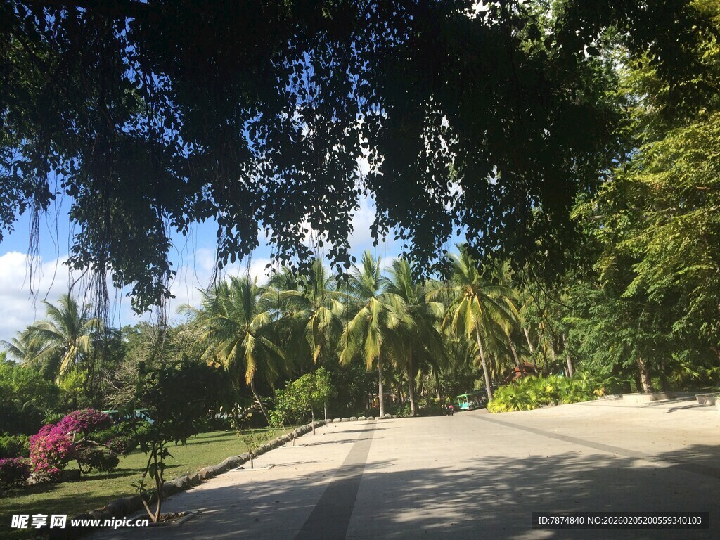 三亚热带林荫小道风光