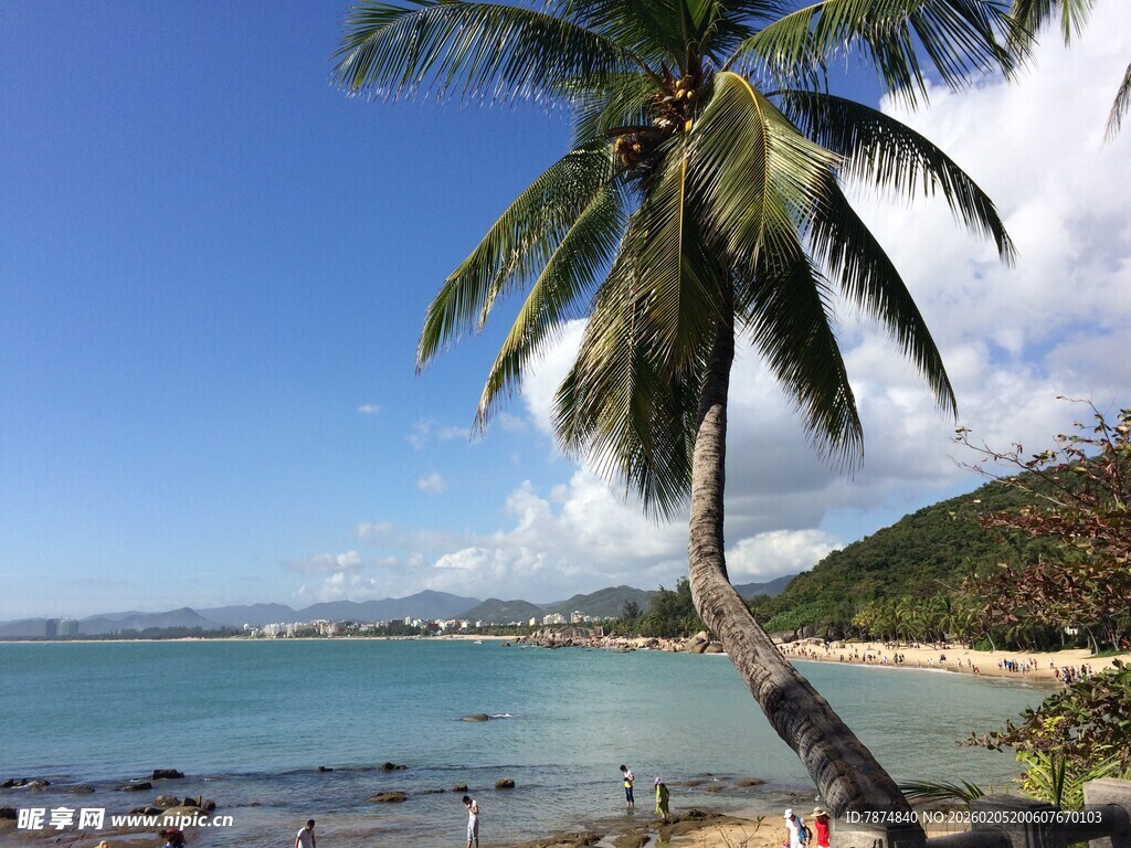 三亚海边椰树美景