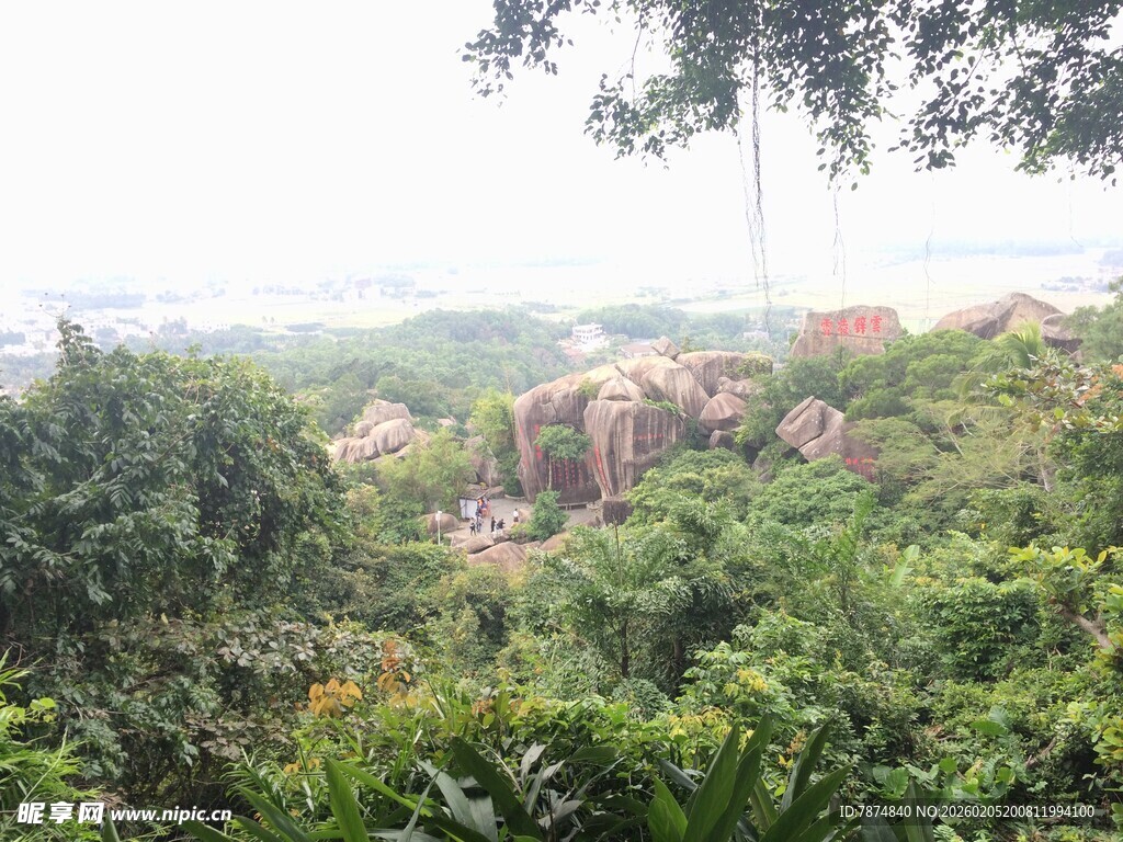 三亚山林间繁茂植被与岩石景观