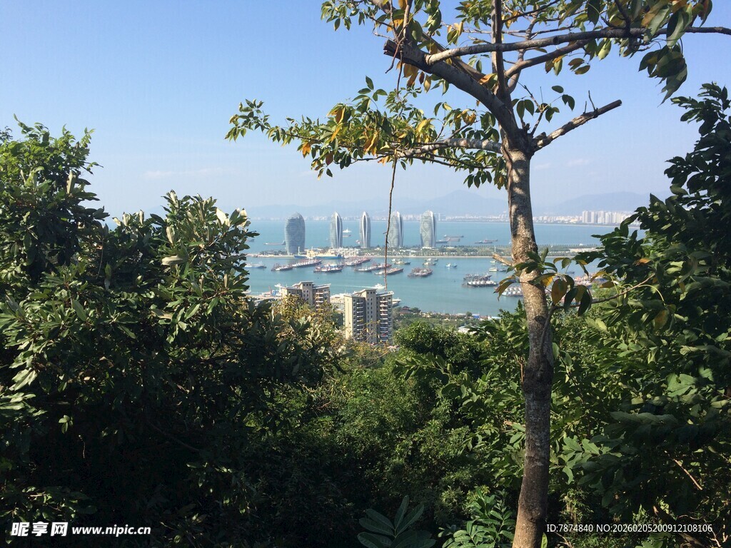 三亚林间远眺城市风光