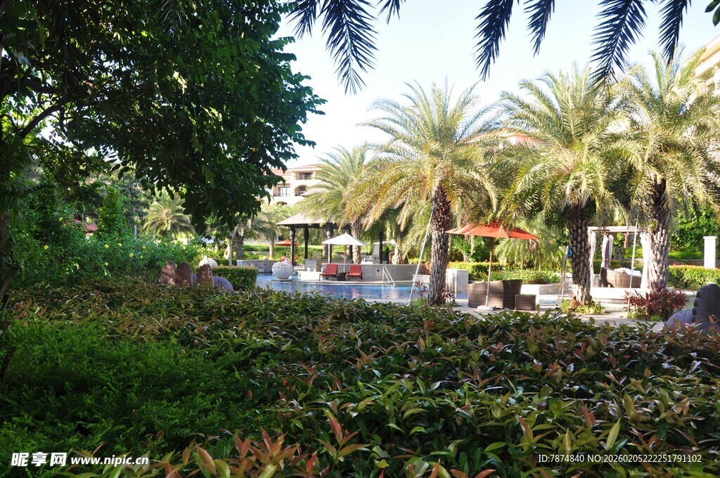 三亚热带园林景观 绿植繁茂