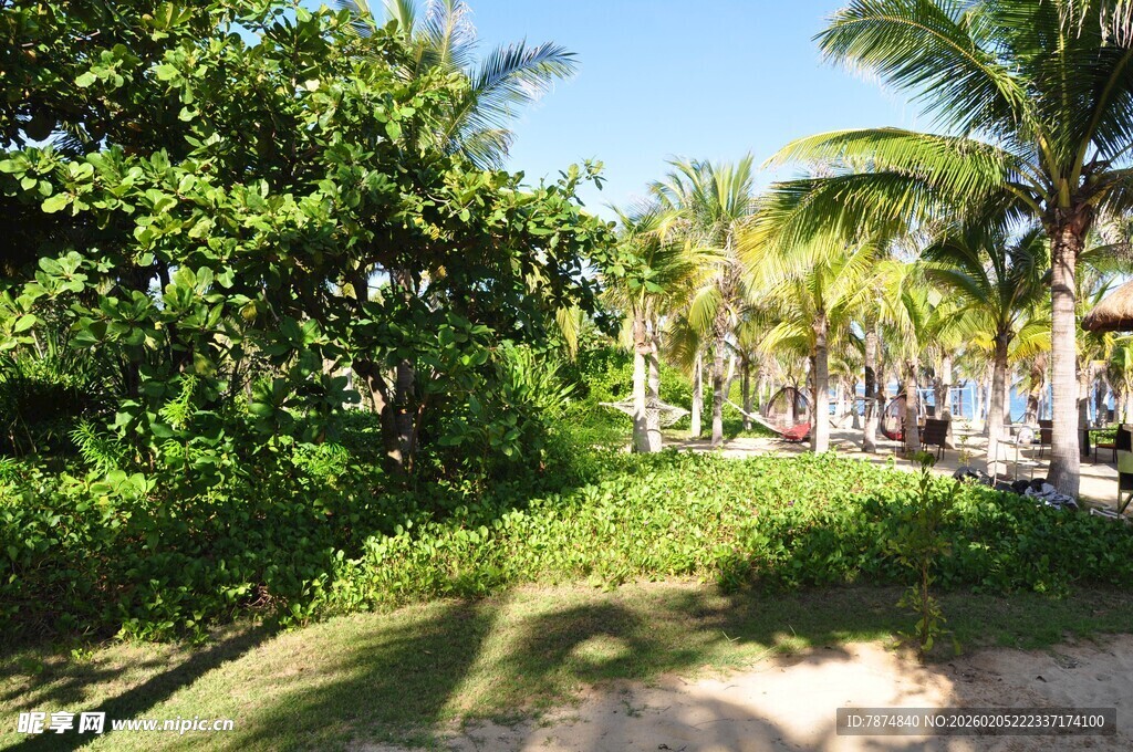 三亚热带风光中的绿荫小径