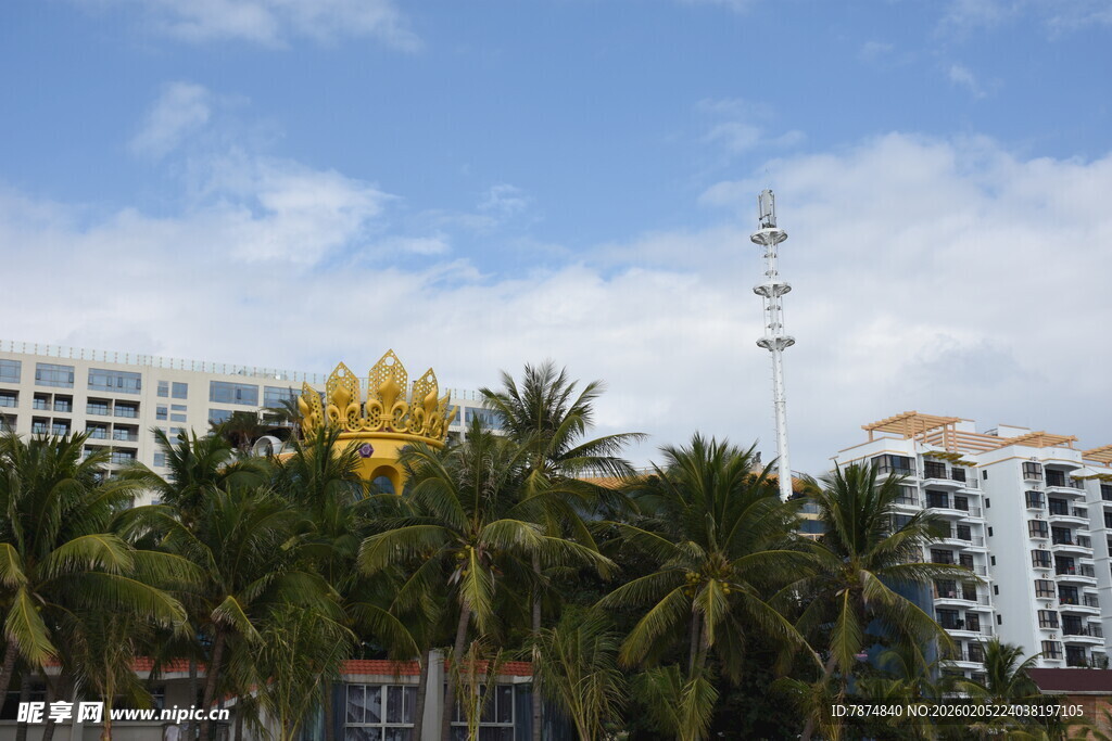 三亚海滨椰树旁的现代建筑群
