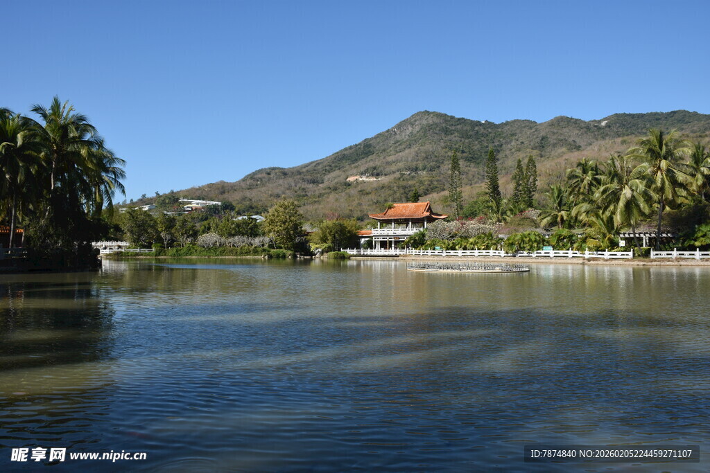 三亚湖畔椰林环绕的美丽景致