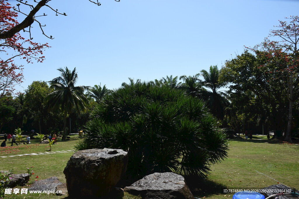 三亚户外绿意盎然的园林景致