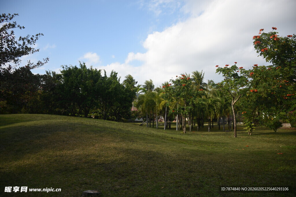 三亚户外绿意盎然的开阔草地