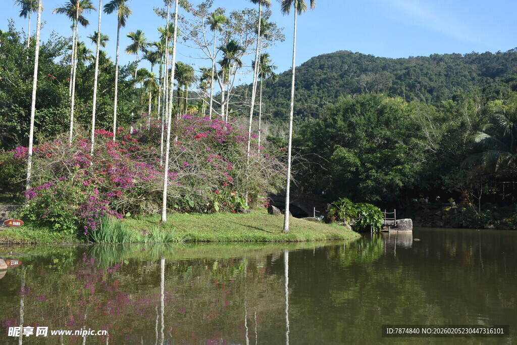 三亚湖畔繁花绿树美景