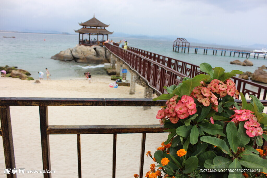 三亚海滨栈桥美景伴娇艳花卉