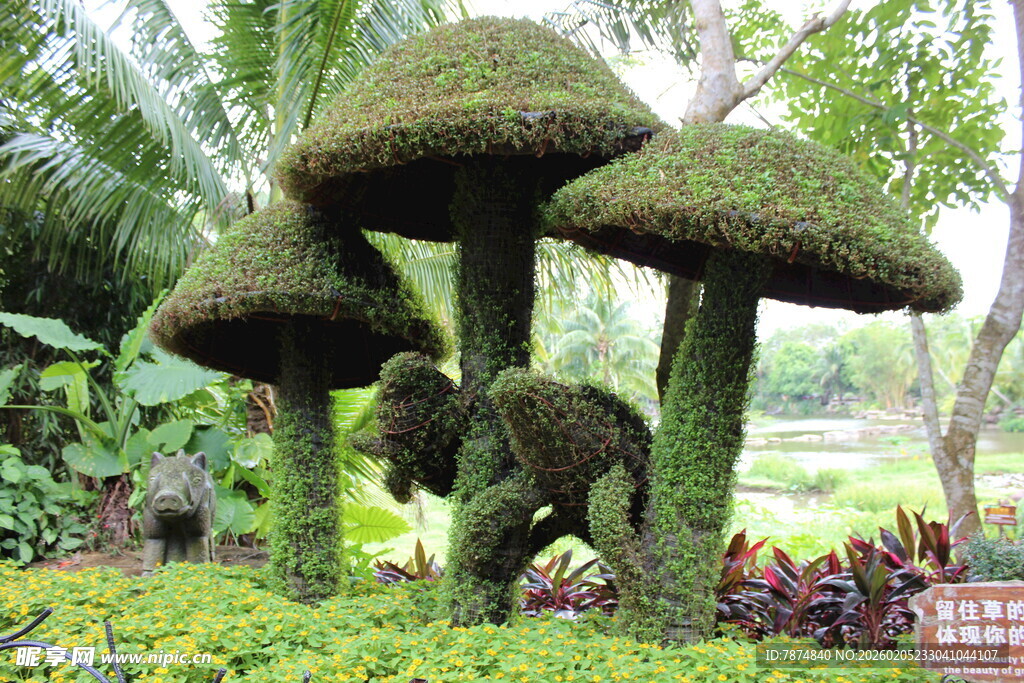 三亚蘑菇造型绿植景观