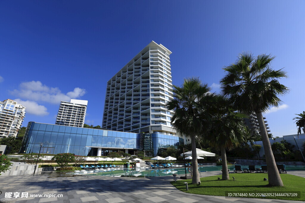 三亚海滨现代高楼与棕榈树景观