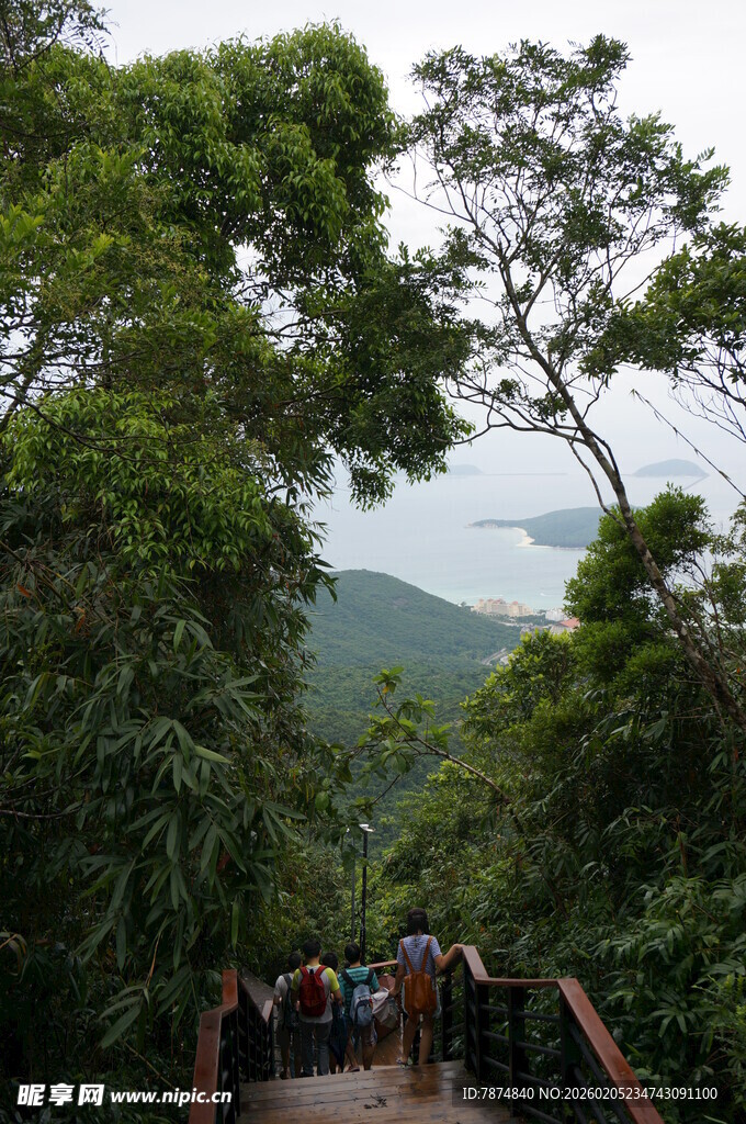 三亚山林间的木质栈道漫步