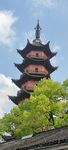 中式古塔与葱郁绿树相映