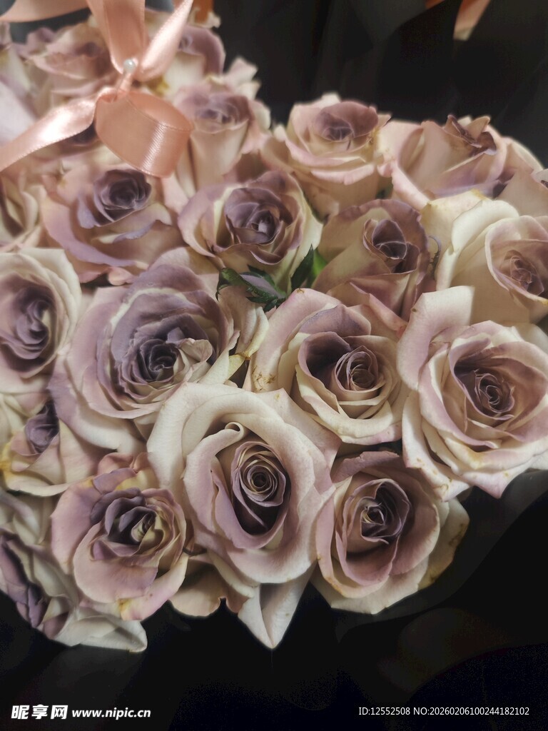 淡紫色玫瑰花束特写