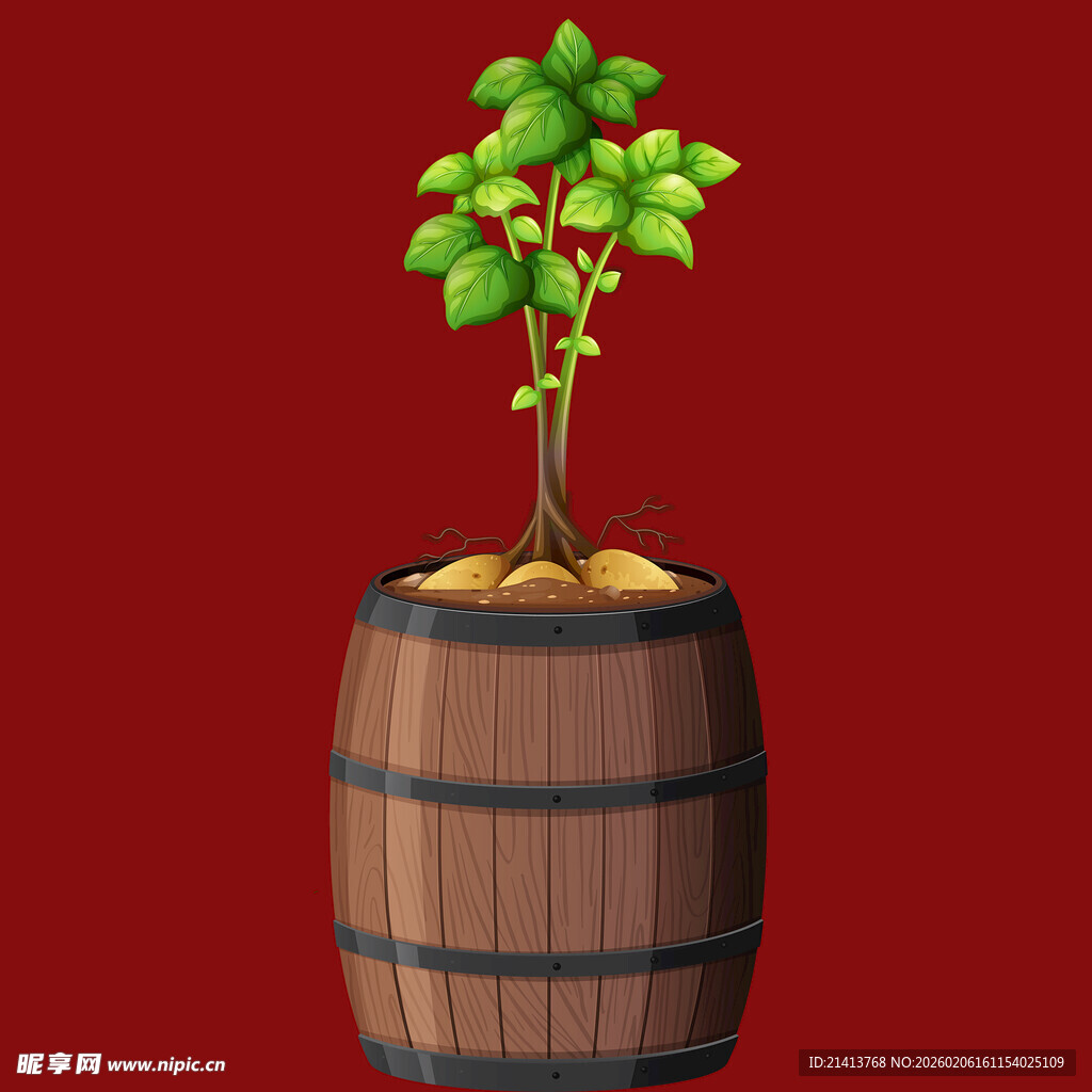 木桶中生长的翠绿小树苗