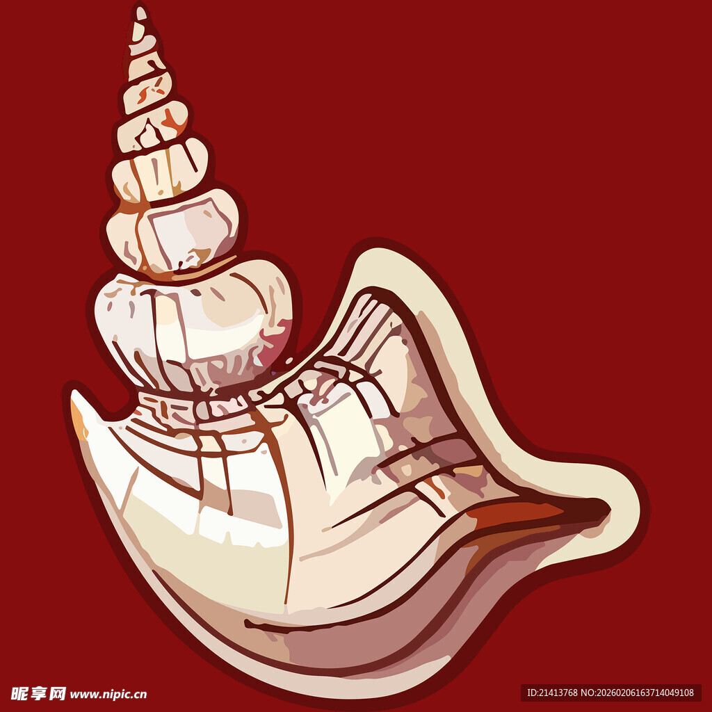 红色背景上的精美海螺